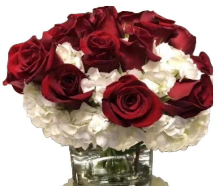 Red Rose Bouquet showcasing 12 elegant roses with hydrangeas.