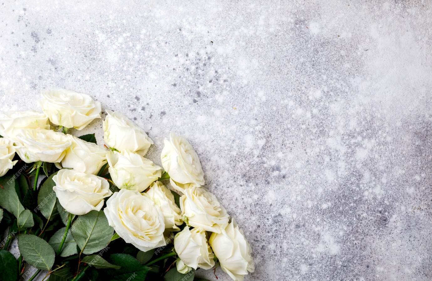 Sympathy Flowers: Expressing Condolences with Care and Compassion