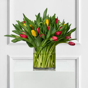 Tulips Galore: Vibrant Tulips in a Elegant Vase