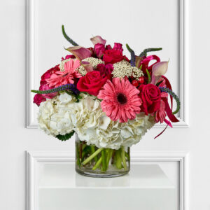 Gerber Beauty- A Vibrant floral Gift for Any Occasion
