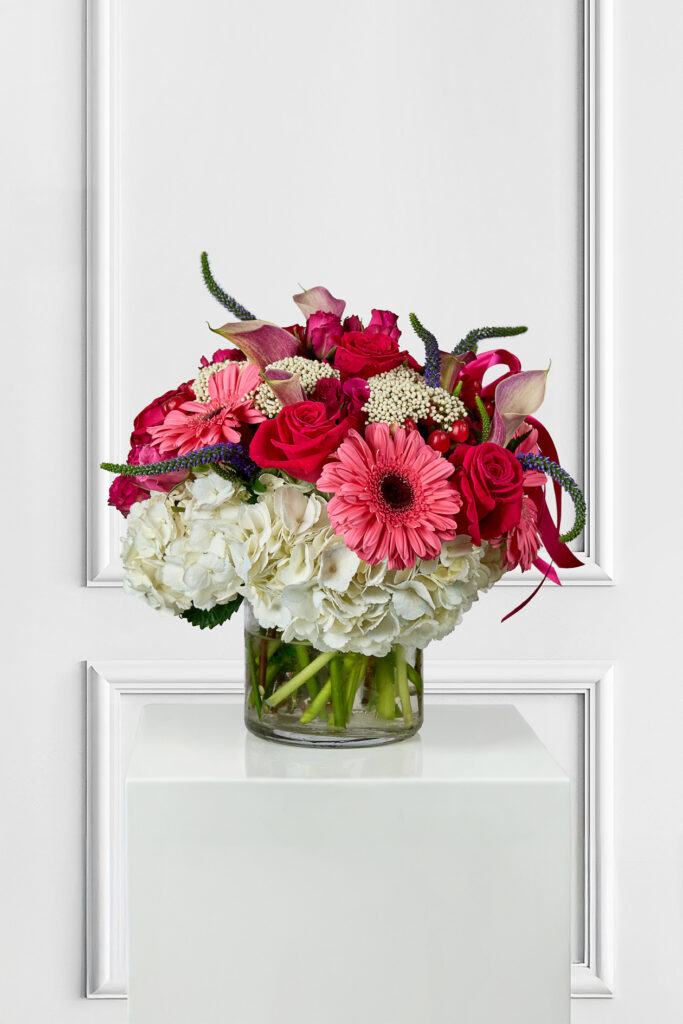 Gerber Beauty- A Vibrant floral Gift for Any Occasion